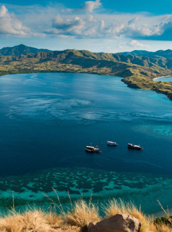 komodo national park open trip
